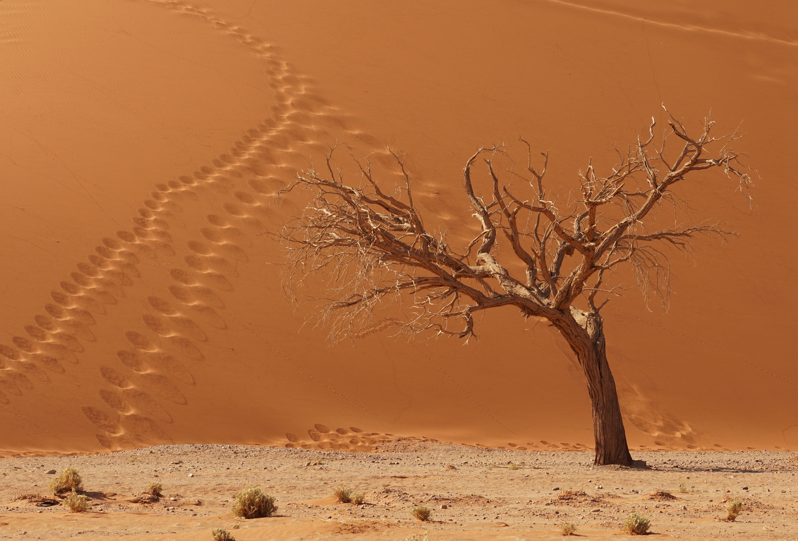 Spuren im Sand