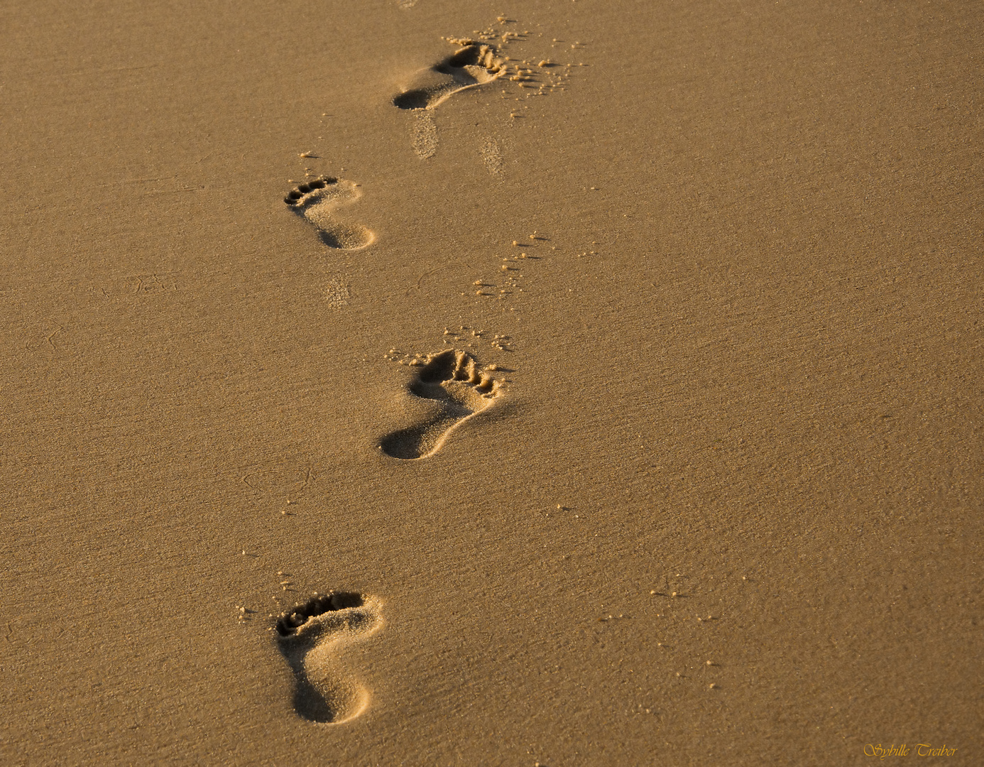 Spuren im Sand