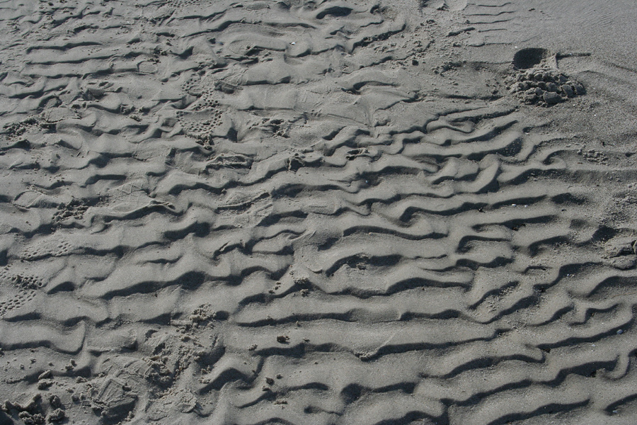 Spuren im Sand ( 3 )