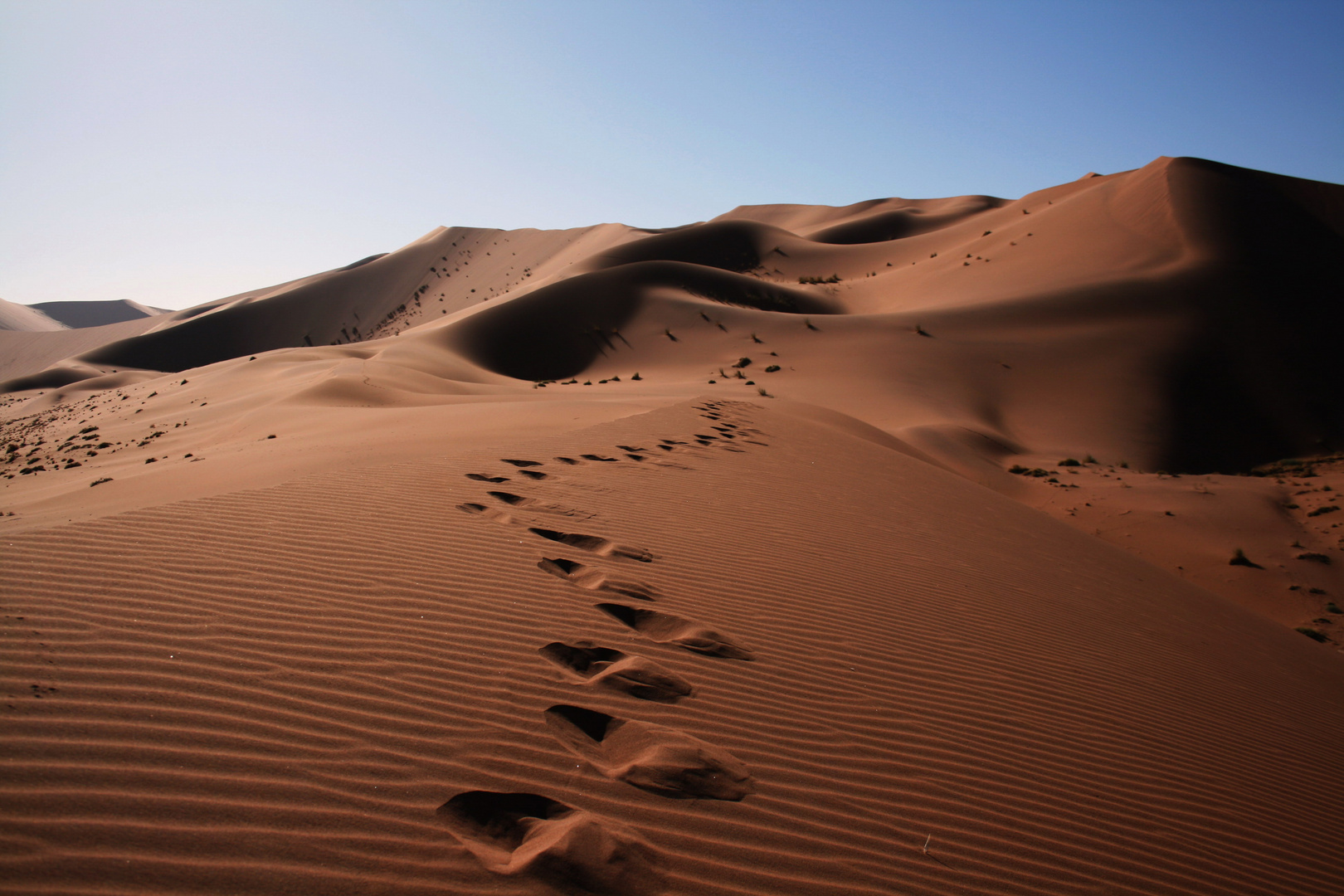 Spuren im Sand