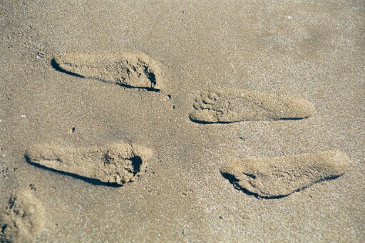 Spuren im Sand