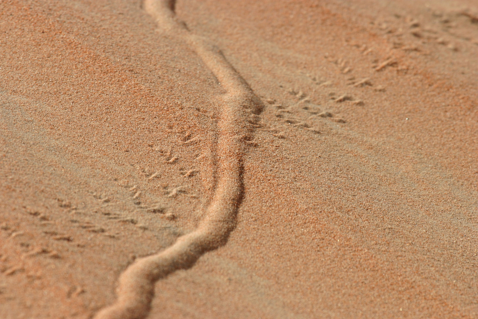 Spuren im Sand