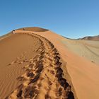 Spuren im Sand