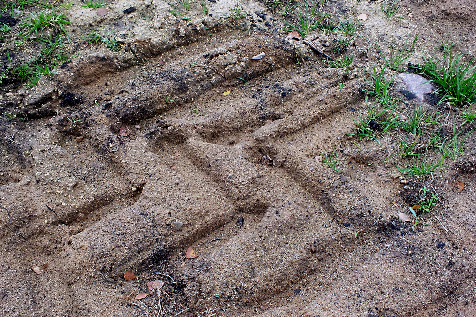 Spuren im Sand