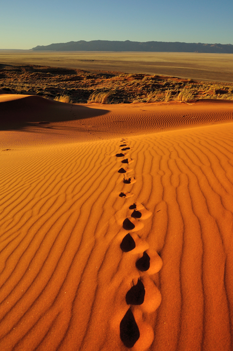 Spuren im Sand