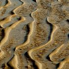 Spuren im Sand