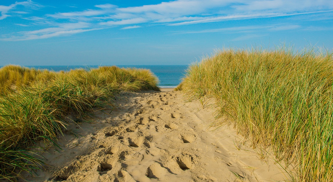 Spuren im Sand