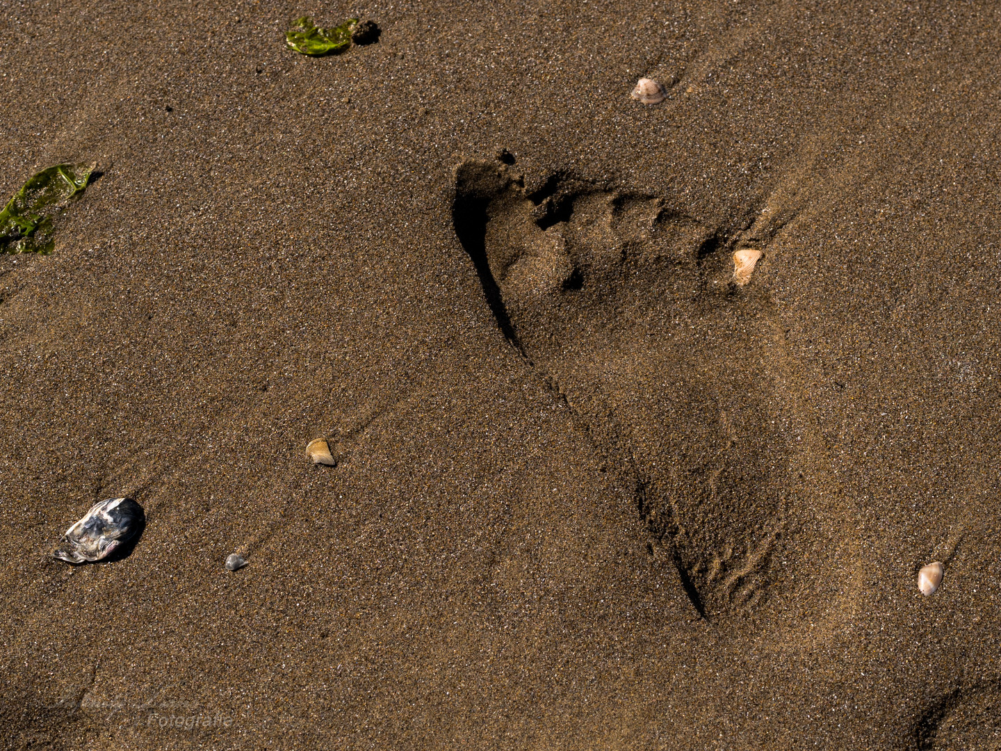 Spuren im Sand