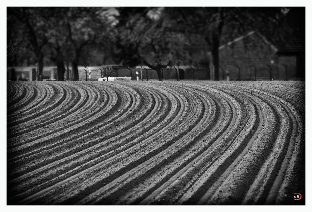 Spuren im Sand....