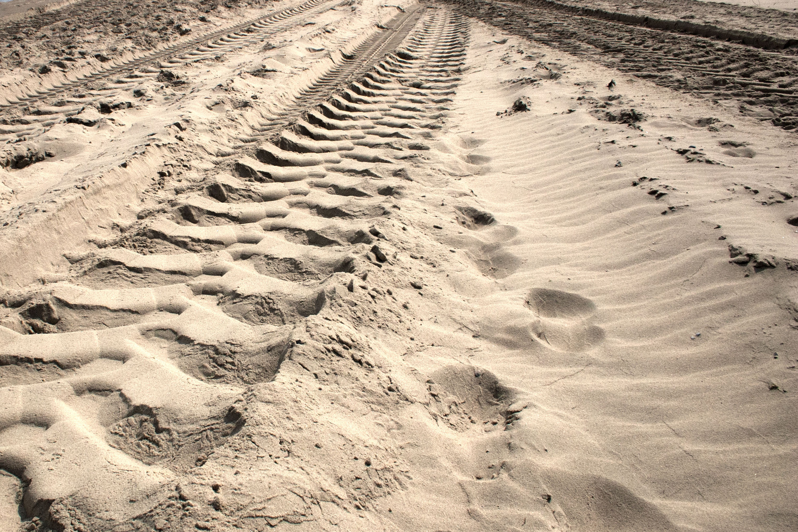 Spuren im Sand