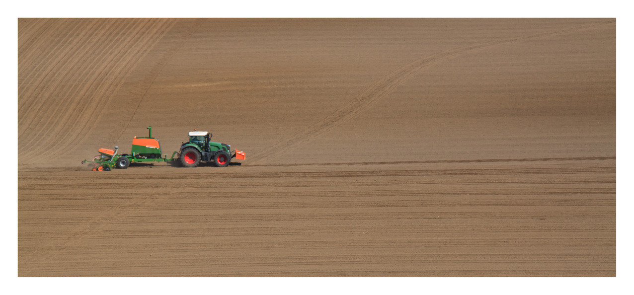 Spuren im Sand