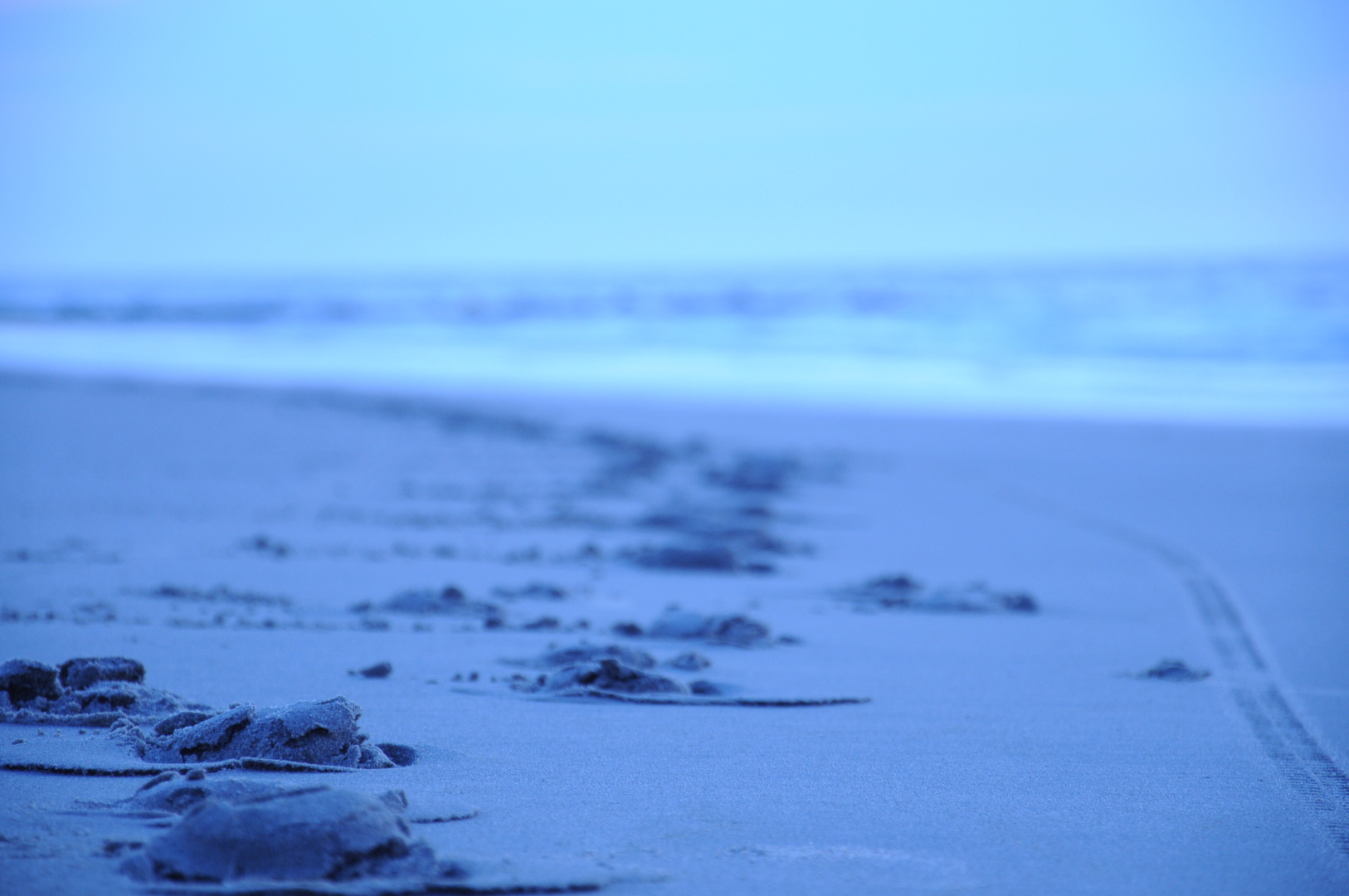 Spuren im Sand