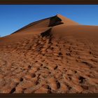 Spuren im Sand