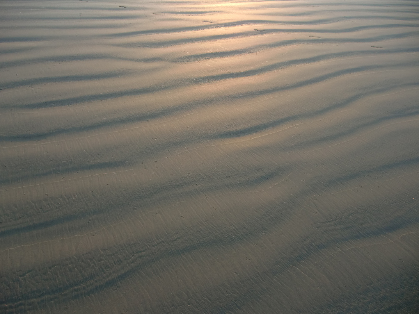 Spuren im Sand