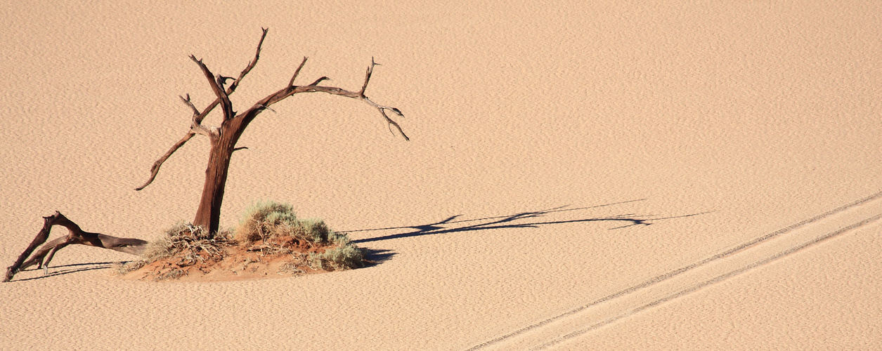 Spuren im Sand