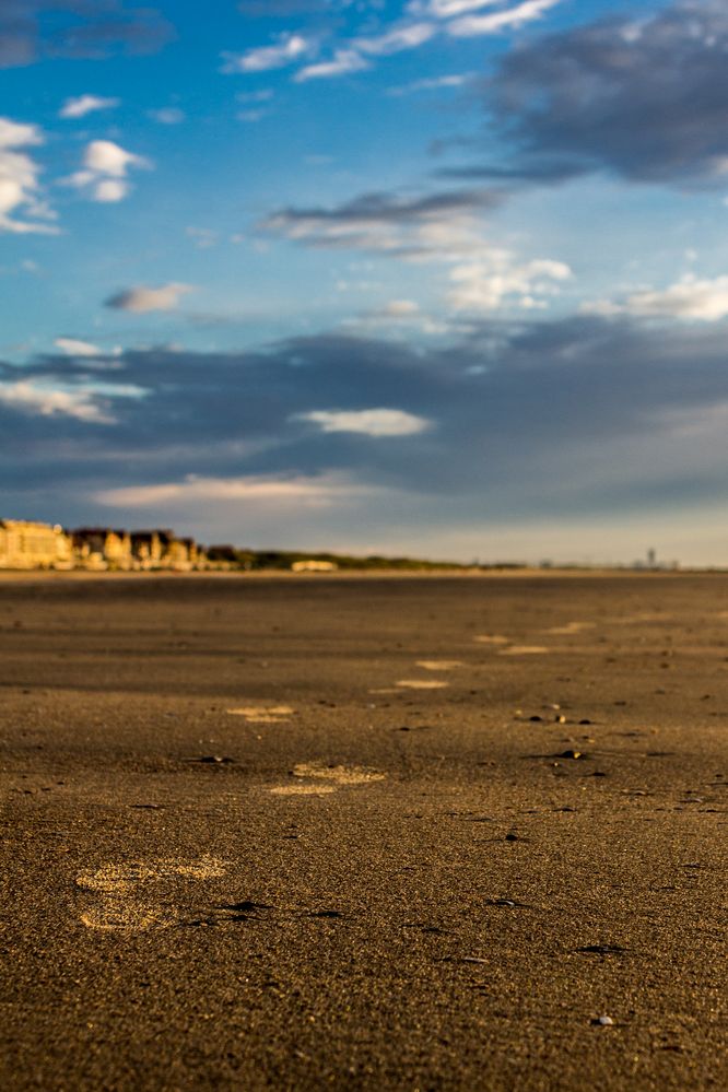 Spuren im Sand