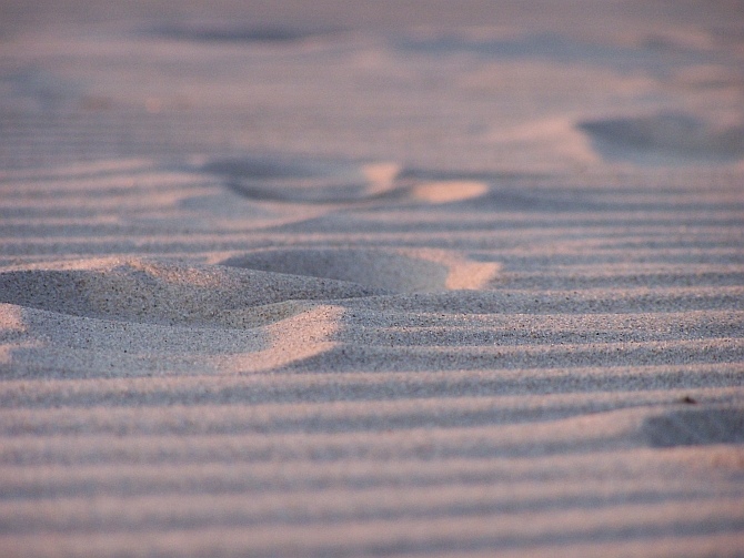 Spuren im Sand