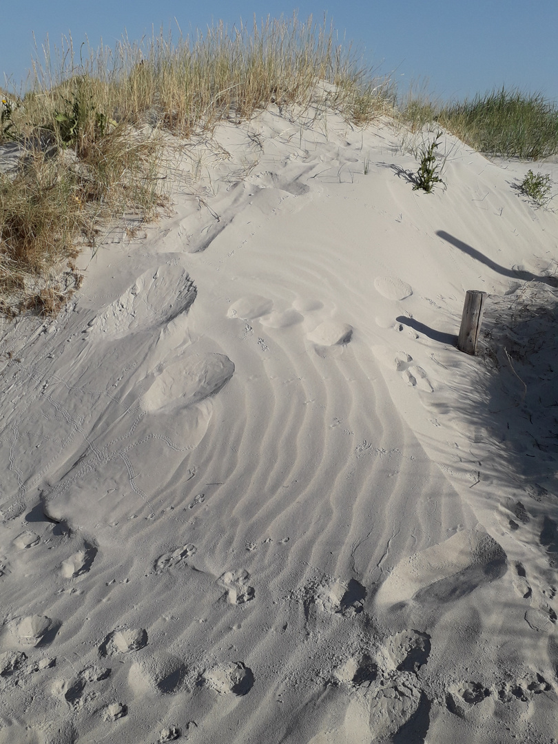 Spuren im Sand 