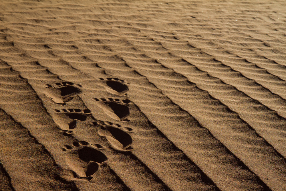 Spuren im Sand