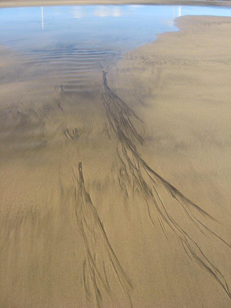 Spuren im Sand