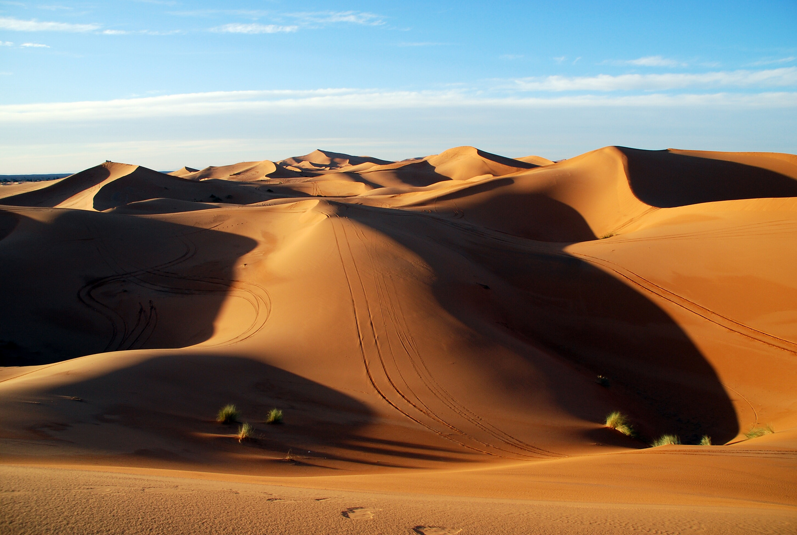 Spuren im Sand