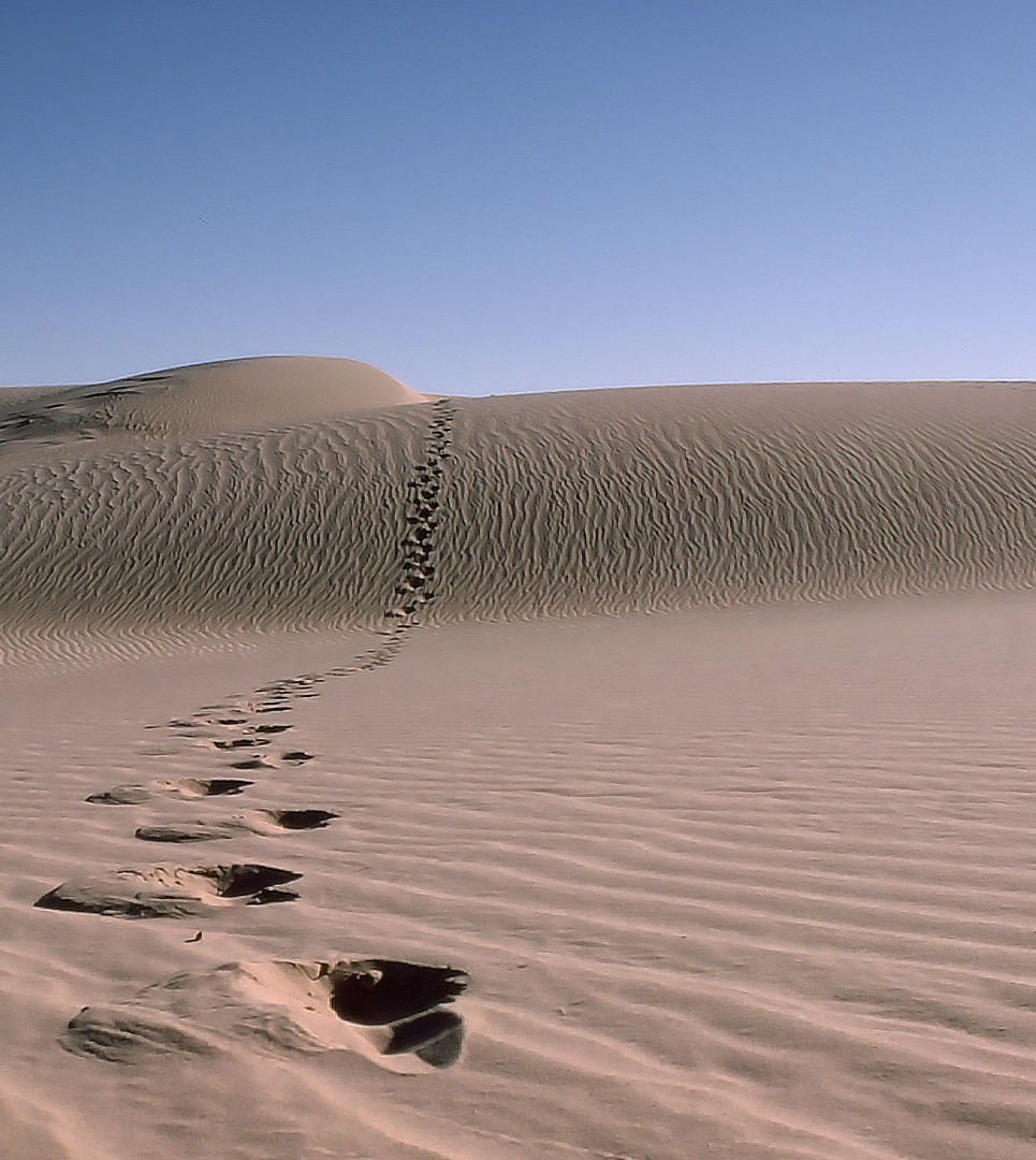 Spuren im Sand