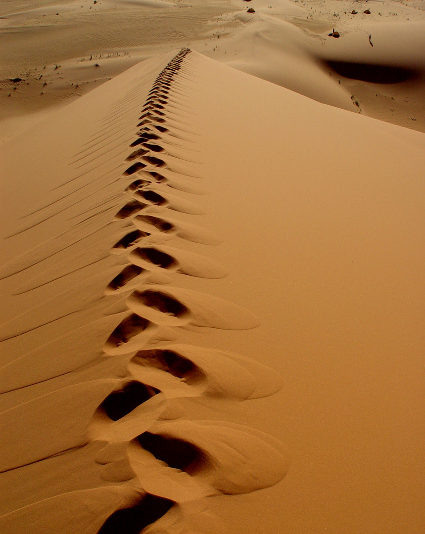 Spuren im Sand Foto & Bild | africa, north africa, libya ...