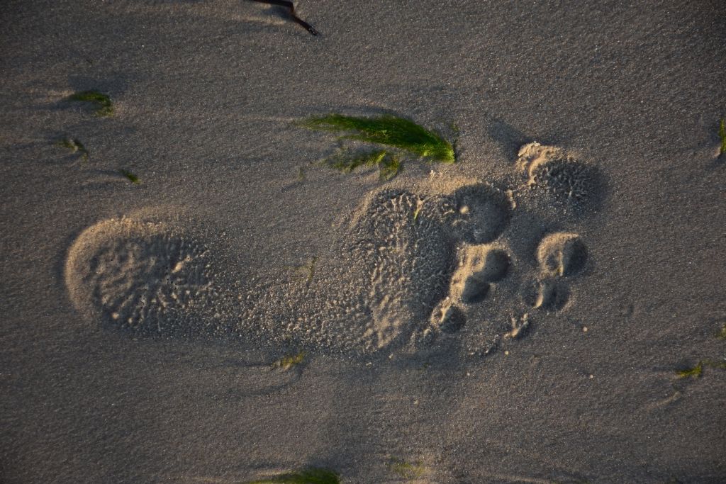 Spuren im Sand