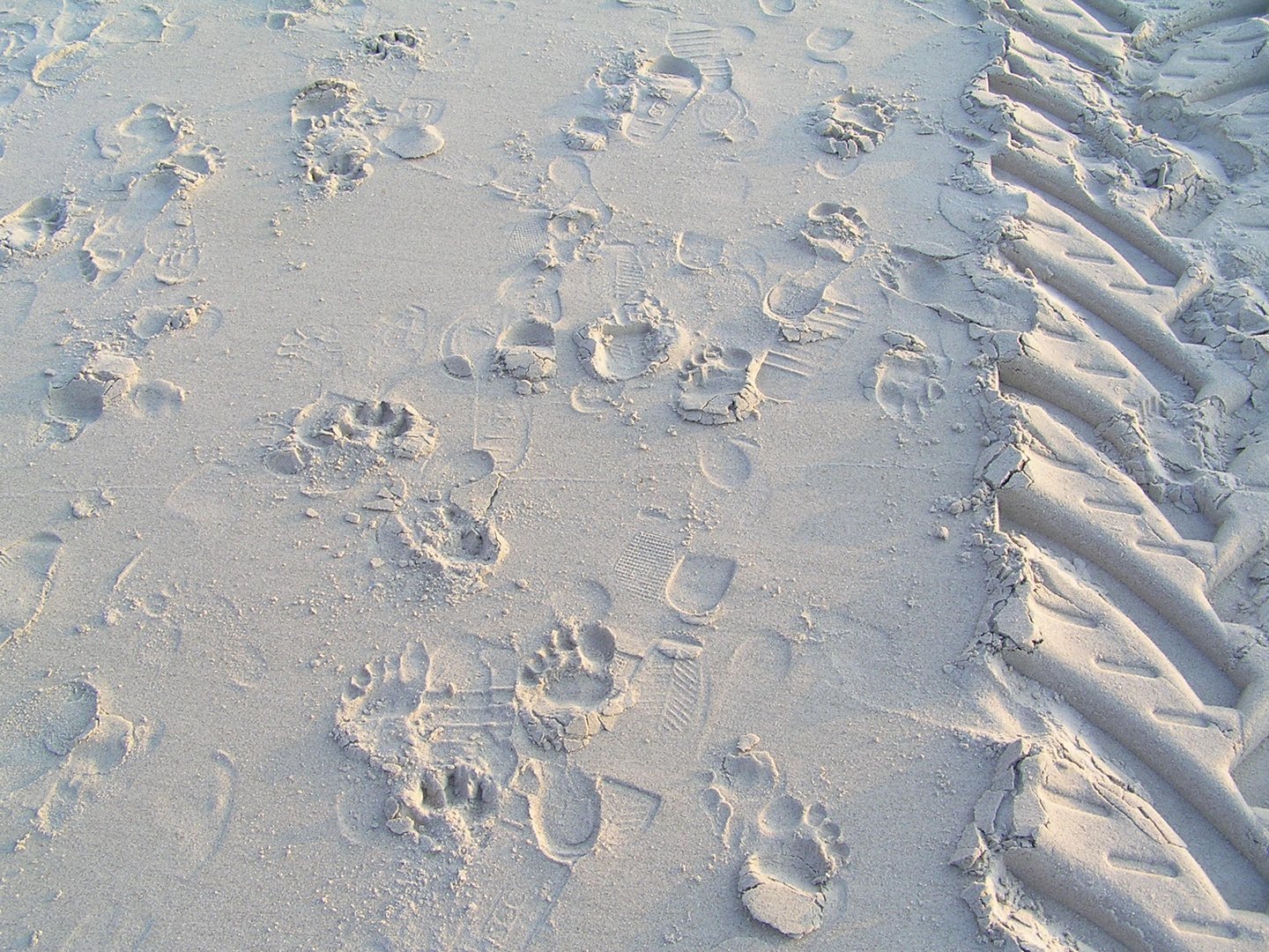 Spuren im Sand