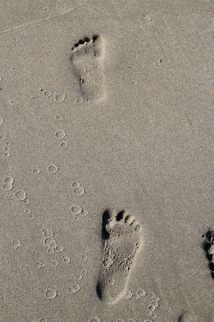 Spuren im Sand