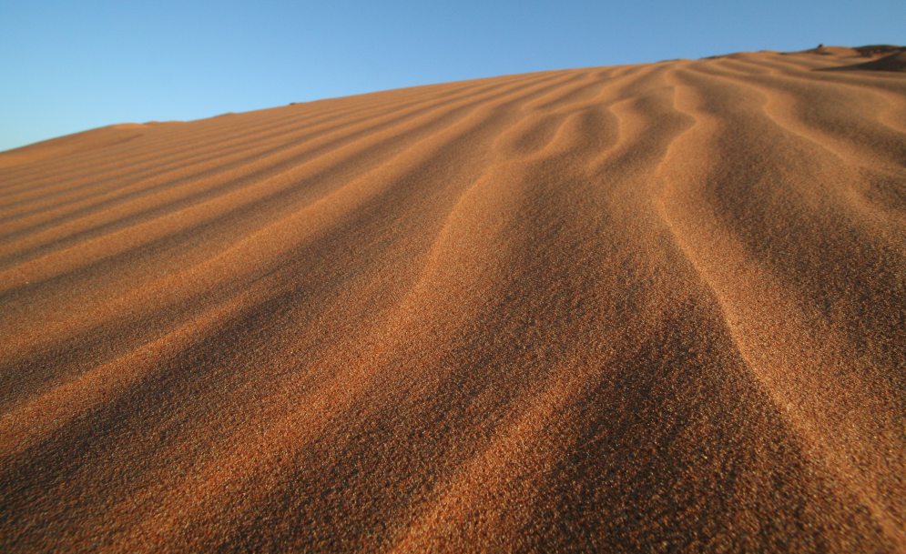 Spuren im Sand