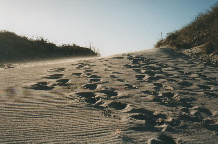 Spuren im Sand