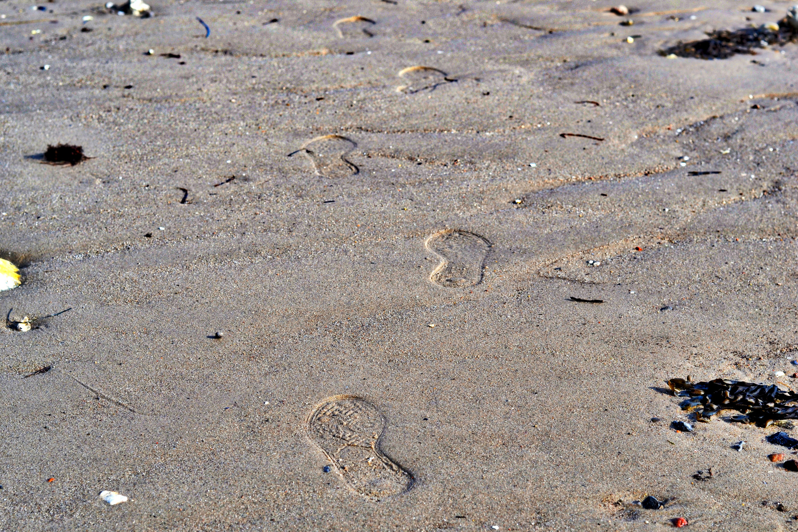 Spuren im Sand