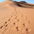 Spuren im Sand