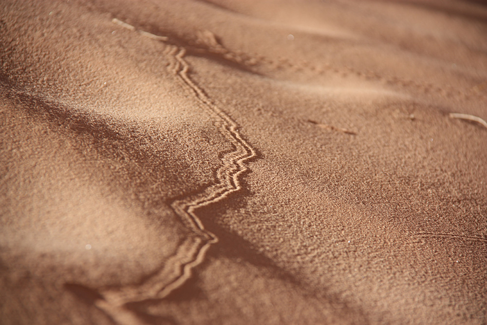 Spuren im Sand