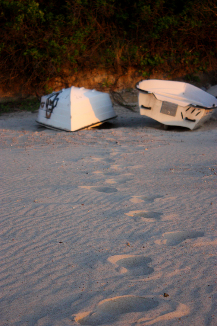 Spuren im Sand