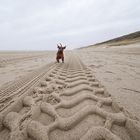 Spuren im Sand