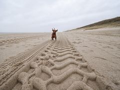 Spuren im Sand