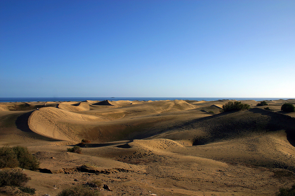 Spuren im Sand