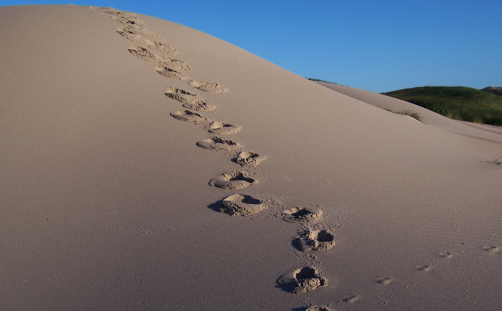 Spuren im Sand