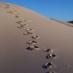 Spuren im Sand