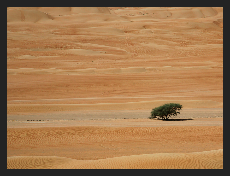 Spuren im Sand