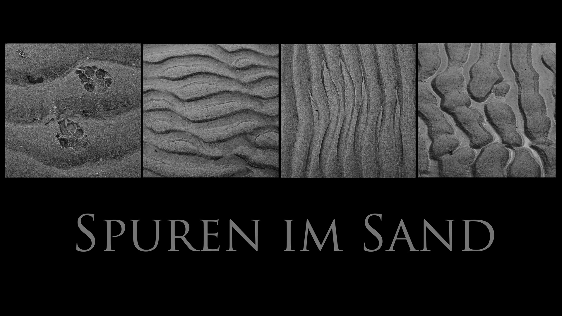 SPUREN IM SAND