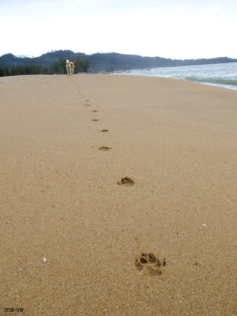 Spuren im Sand