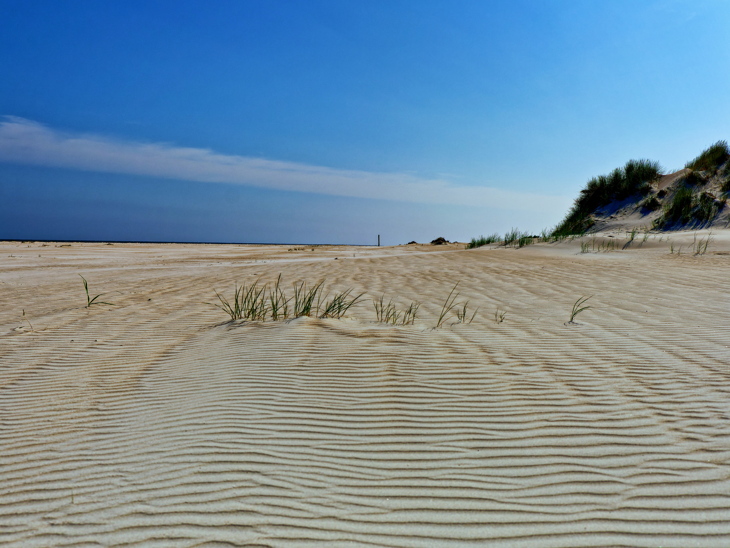 Spuren im Sand