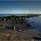 Spuren im Sand