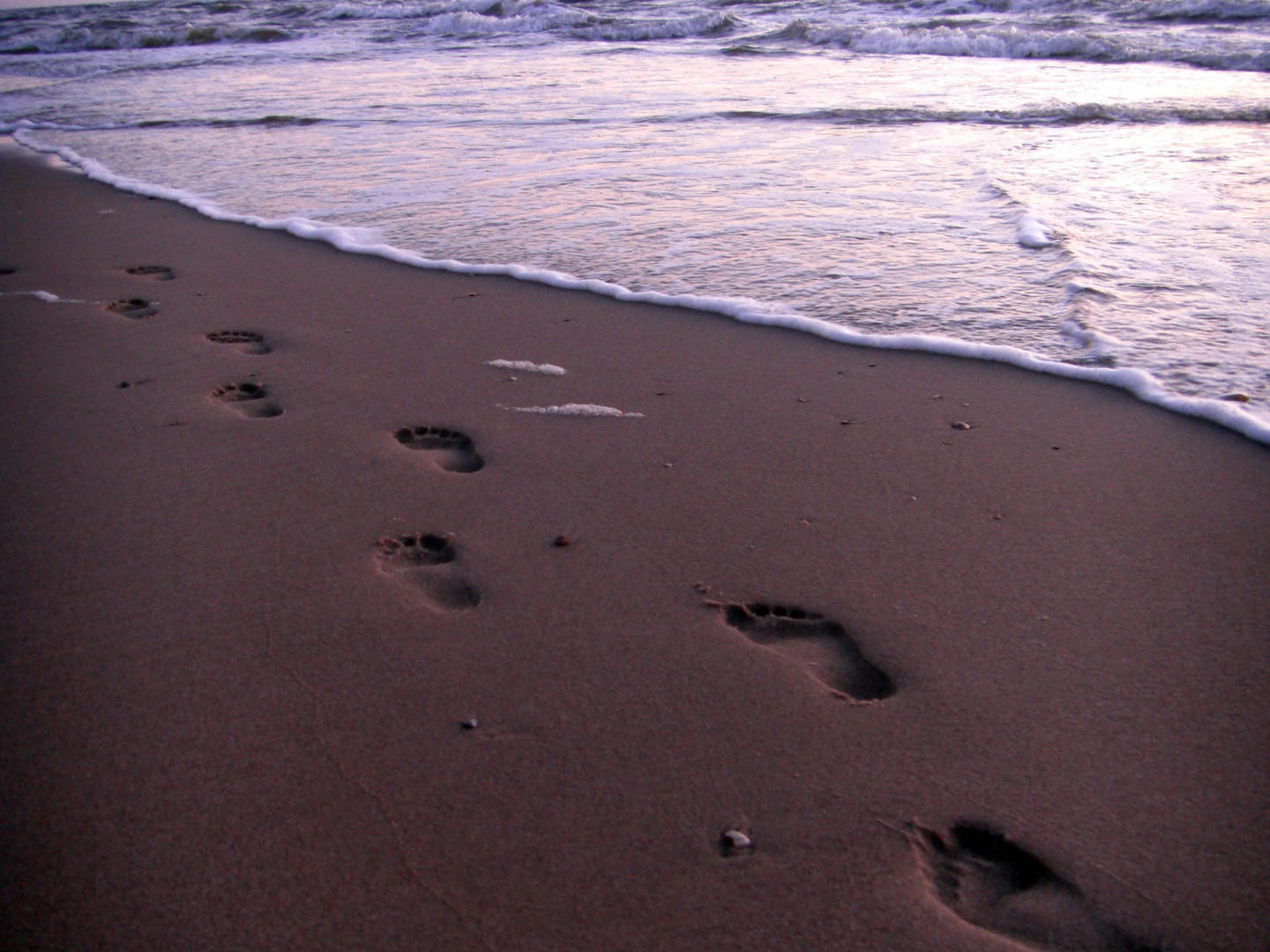 Spuren im Sand...