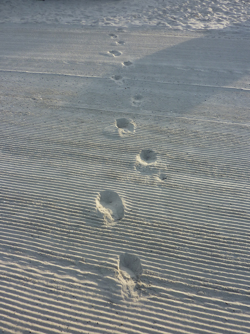 Spuren im Sand