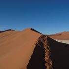 Spuren im Sand