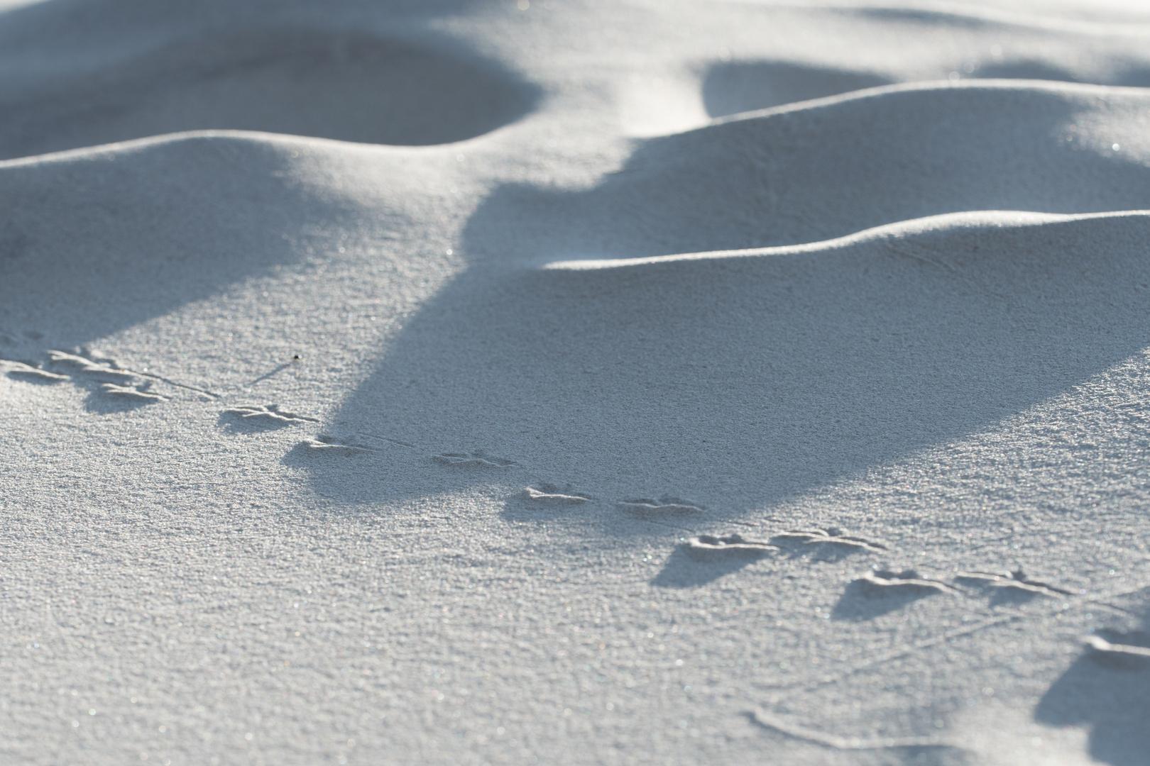 Spuren im Sand